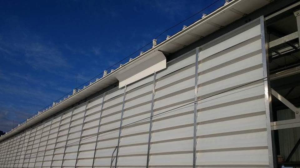 fb-img-1513384916444